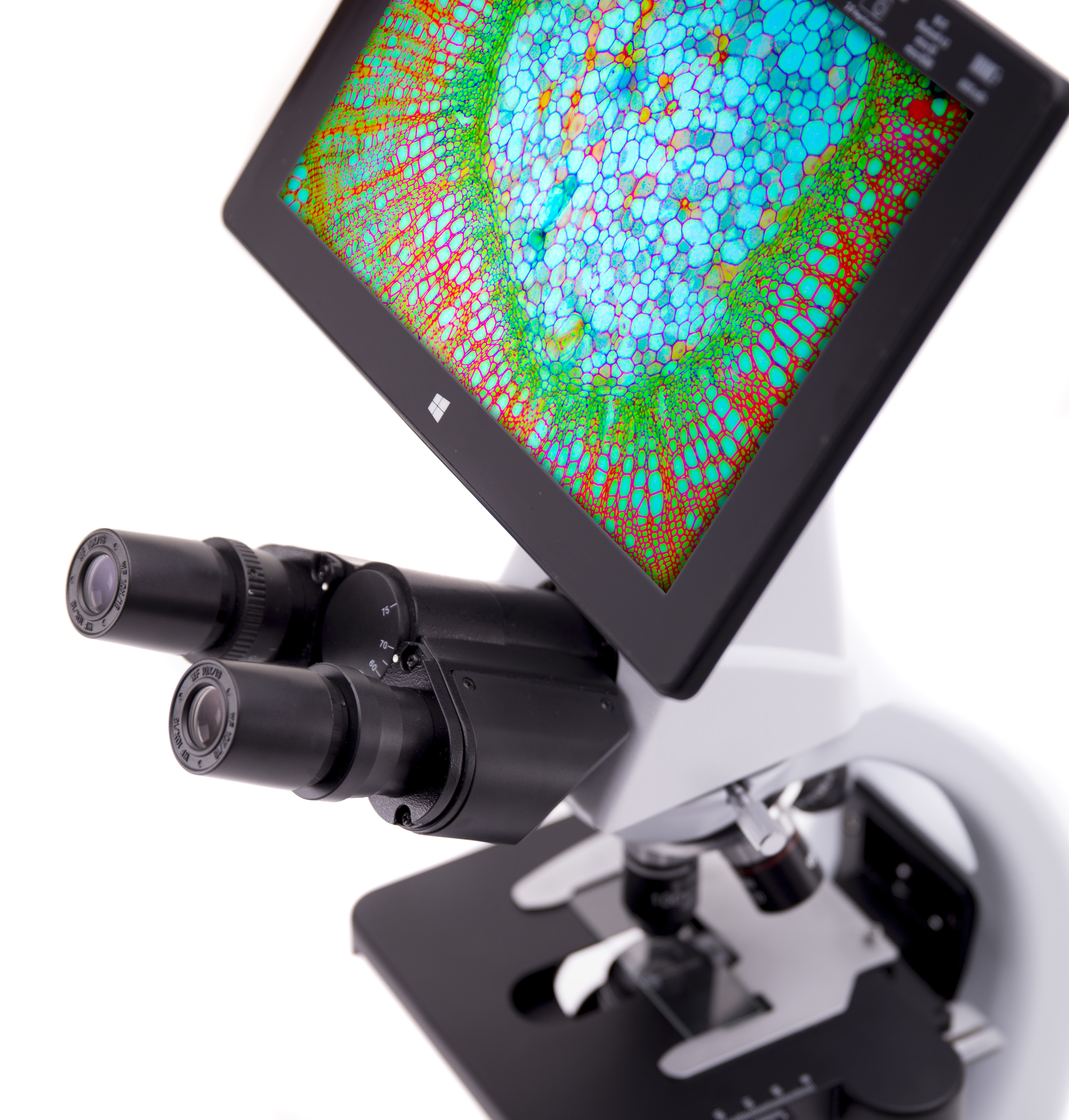 B-290 Series – OPTIKAMICROSCOPES