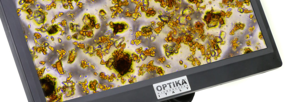 OP_DIG_FONDO_Prof – OPTIKAMICROSCOPES