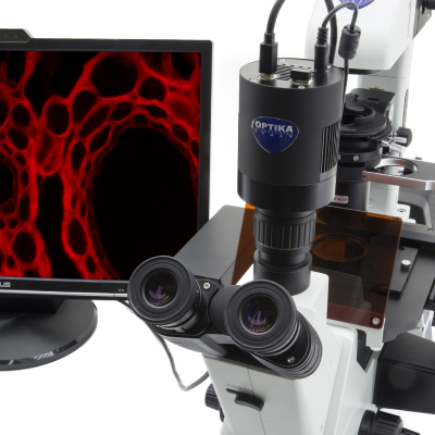 OP_DIG_High – OPTIKAMICROSCOPES