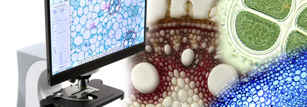 OP_PROF_DIG_FONDO – OPTIKAMICROSCOPES